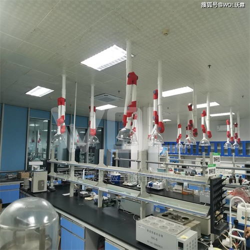 農(nóng)產(chǎn)品檢測實(shí)驗(yàn)室完工效果圖展示與技術(shù)服務(wù)介紹