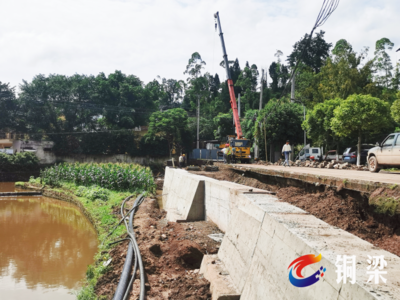 加快建設(shè)出境公路，白羊鎮(zhèn)以樹(shù)木種植破解發(fā)展瓶頸